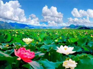 云南昆明旅游團(tuán)報(bào)價(jià)自由行_云南昆明游 旅行團(tuán)_云南昆明旅游費(fèi)用多少