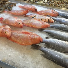 餐饮模块 