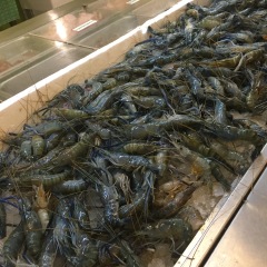 餐饮模块 