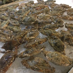 餐饮模块 