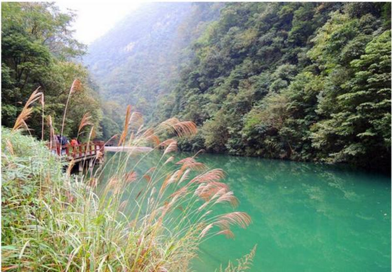 碧潭幽谷——金佛山的"桃花源",诗意与适意皆在此地