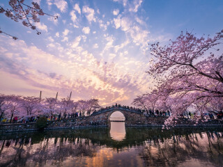 廣州華東旅游團(tuán)_華東旅游五日游_報(bào)團(tuán)去華東多少錢