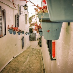 景点模块 