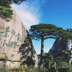 景点模块 
