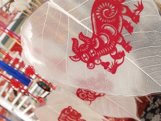 内蒙古旅游花多少钱_内蒙古旅行报价_深圳出境内蒙古旅游