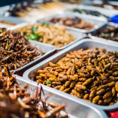 Fried insects on the streets of Khao San Road in Bangkok, Thailand