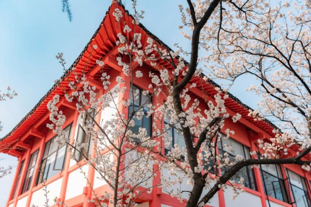 <南京2日游>独享私人温泉,宿价值1288元巴厘原墅温泉酒店,含1早2正,夫子庙寻小吃,玄武湖赏樱花,烟花扬州,西津渡千年古街,纯玩无购物 <南京2日游>独享私人温泉,宿价值1288元巴厘原墅温泉酒店,含1早2正,夫子庙寻小吃,玄武湖赏樱花,烟花扬州,西津渡千年古街,纯玩无购物