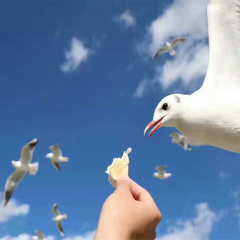 活动模块 
