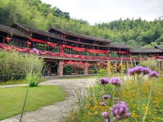 去湖南張家界游怎么省錢_湖南張家界2人旅游需要多少錢_8月湖南張家界旅游