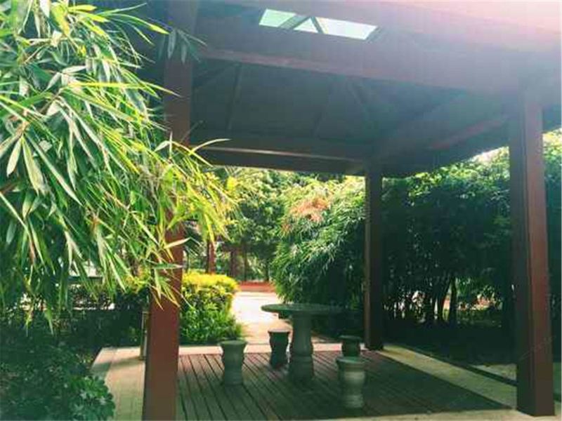 深圳旮旯小居