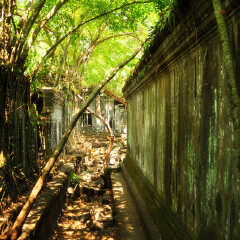 活动模块 