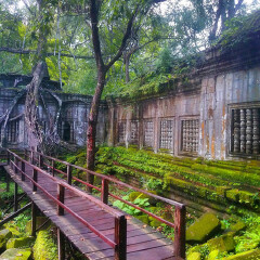 活动模块 