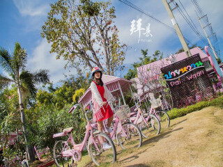 春节到清迈旅游团_清迈旅游旅行团价格_清迈6日跟团旅游