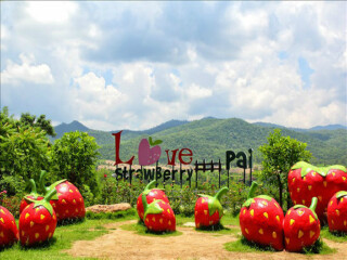 春节到清迈旅游团_清迈旅游旅行团价格_清迈6日跟团旅游