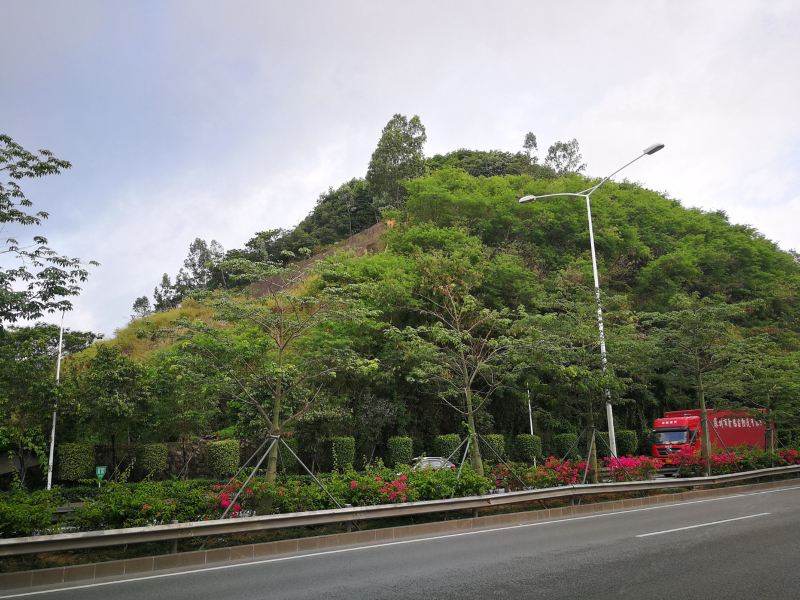 深圳Kwong-Tse民宿