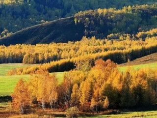 组团旅游呼伦贝尔旅游_呼伦贝尔10日游具体线路_跟团呼伦贝尔10日游多少钱
