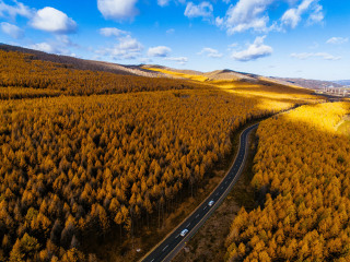 组团旅游呼伦贝尔旅游_呼伦贝尔10日游具体线路_跟团呼伦贝尔10日游多少钱