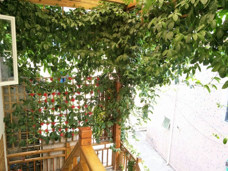 深圳较场尾波士顿客栈(欢乐小玩家分店)