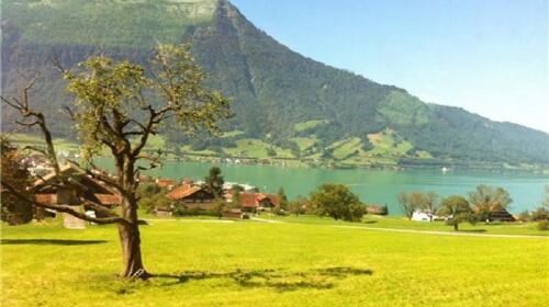 瑞士火车 连续通票Swiss Travel Pass (电子票或