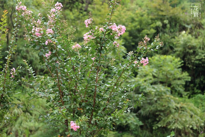 #9是这样牛#寻找青春的尾巴,我在桂林等你!