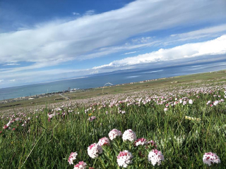 游青海的价钱_去青海游要办签证_组团到青海旅游