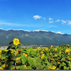 景点模块 