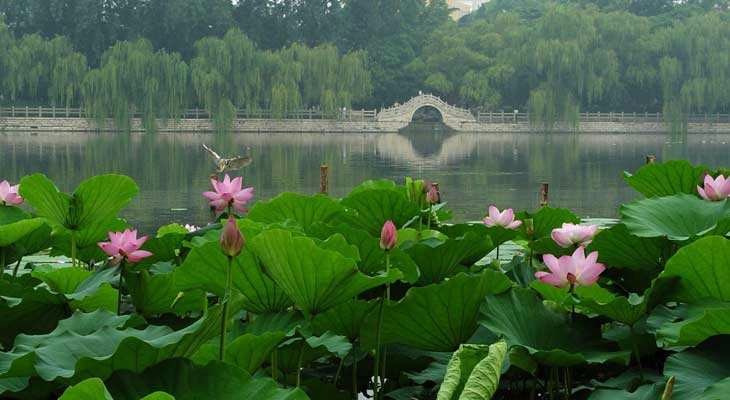 济南大明湖1日游_大明湖风景名胜区游记_途牛