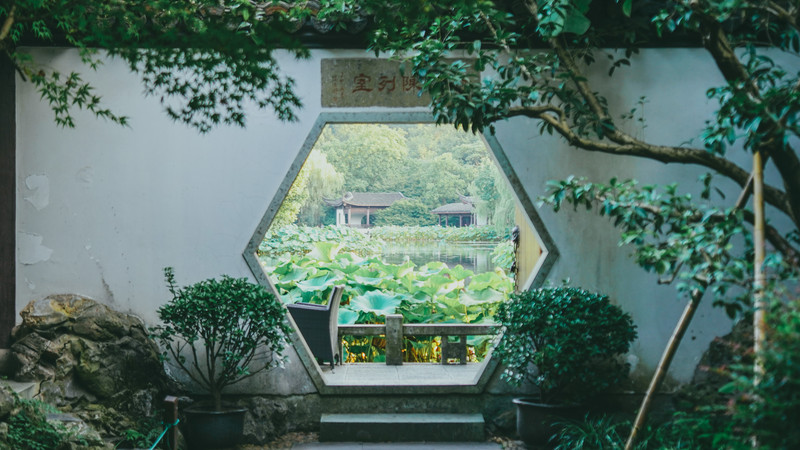 有曲院,风荷,滨湖密林等景区, 东接岳湖,南邻郭庄,北接竹素园,植物园