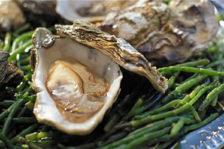 food_picture