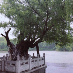 活动模块 