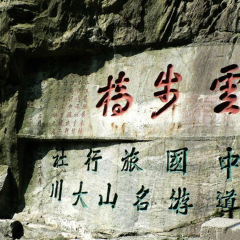 活动模块 