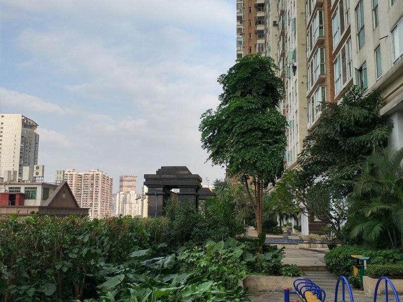 广州自由派青年旅舍