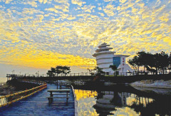 活动模块 