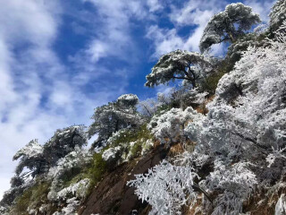 江西廬山組團旅游_江西廬山游8月份報價_深圳特價江西廬山游