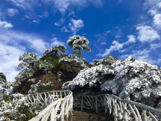 江西廬山組團旅游_江西廬山游8月份報價_深圳特價江西廬山游