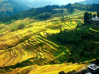 張家界玻璃棧道旅游價格多少_張家界玻璃棧道最適合旅游的季節(jié)_到張家界玻璃棧道旅游報團價格