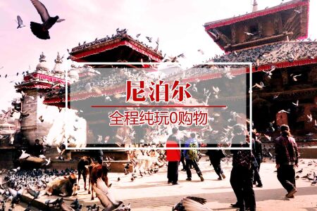 <尼泊尔机票+当地7晚8日游>上海起止，昆明出境，2人即发，纯玩0购物，四晚5星，手抓饭，博卡拉自由活动，骑大象丛林穿越，观雪山日出