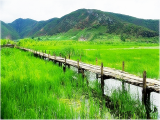 春节跟团云南旅游_至云南跟团旅游_云南旅游报团价格