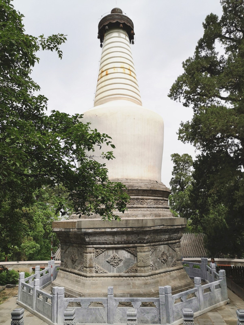 春末畅游大觉寺