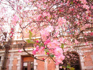 今年去腾冲旅游_腾冲六日旅游_腾冲旅游几月份最便宜