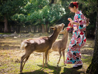 深圳日本旅游包团价格_去日本旅游跟团_日本游跟团报价