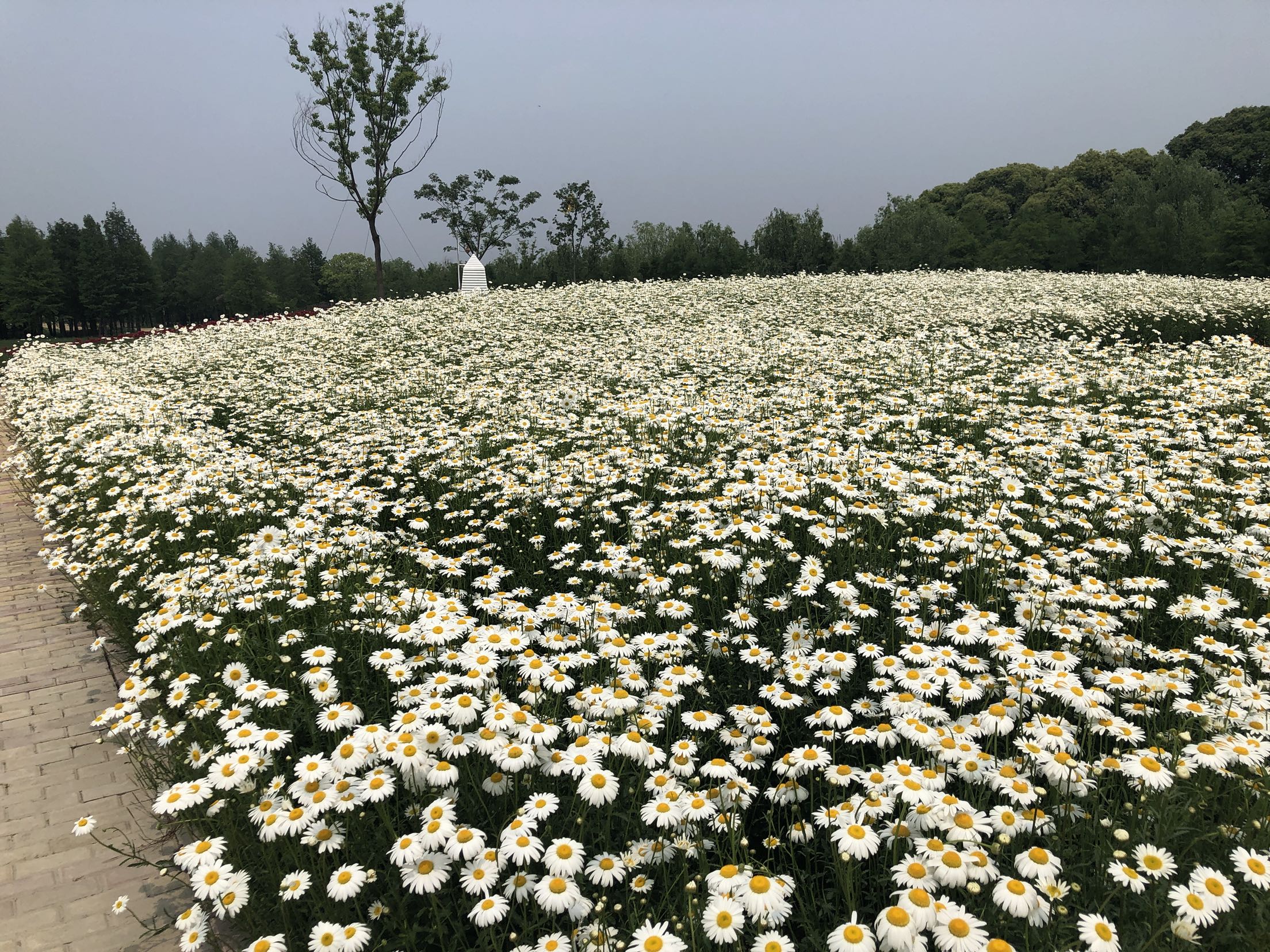 【话题讨论】你会选择怎样的方式带长辈出去旅