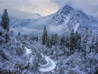 春節(jié)四川稻城亞丁旅行團(tuán)_四川稻城亞丁10月旅行團(tuán)價格_去四川稻城亞丁旅游要多少錢