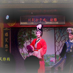 活动模块 