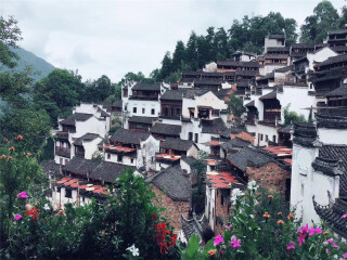 到江西婺源旅游多少錢_8月江西婺源旅游_江西婺源跟團(tuán)還是自由行