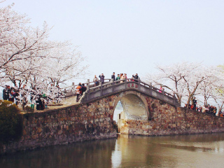 華東旅游多少錢_到華東旅游多少錢_華東旅游花多少錢