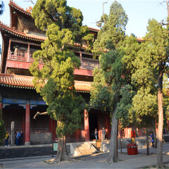 景点模块 