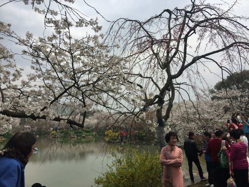 武汉管家婆普通公寓