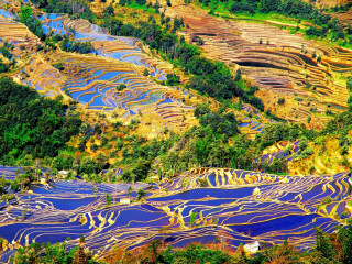 春节昆明旅行团_昆明双人十日游多少钱_春节去昆明旅游