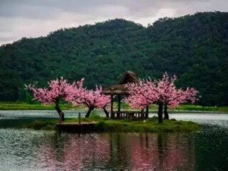 云南昆明旅游團(tuán)報(bào)價(jià)自由行_云南昆明游 旅行團(tuán)_云南昆明旅游費(fèi)用多少